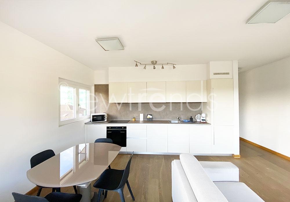 elegante appartamento arredato zona tranquilla e strategica a lugano: foto dettaglio cucina