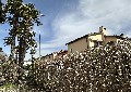 New Trends SA Società immobiliare con sede a Lugano, Ticino (Svizzera - CH) - fotografia immobile