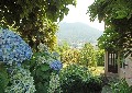 New Trends SA Società immobiliare con sede a Lugano, Ticino (Svizzera - CH) - fotografia immobile
