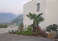 New Trends SA Società immobiliare con sede a Lugano, Ticino (Svizzera - CH) - fotografia immobile